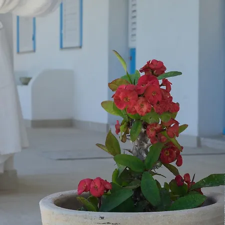 Hotel Isola Mia